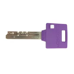 Clé cylindre Kreno MUL-T-LOCK Classic Pro tête plastique 