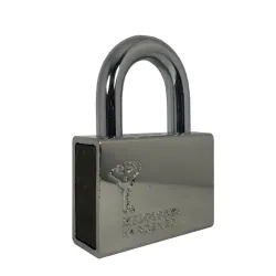 Cadenas C13 Mul-T-Lock série C