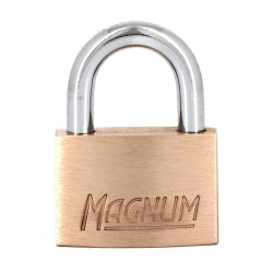 Master Lock CAD30 - cadenas laiton de 30 mm, petit cadenas