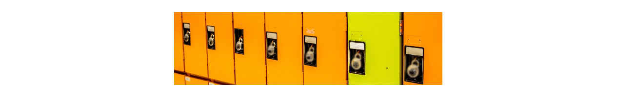 Cadenas pour vestiaires du personnel